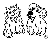 Dog and Cat