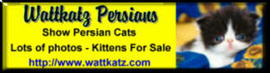 Wattkatz Persians