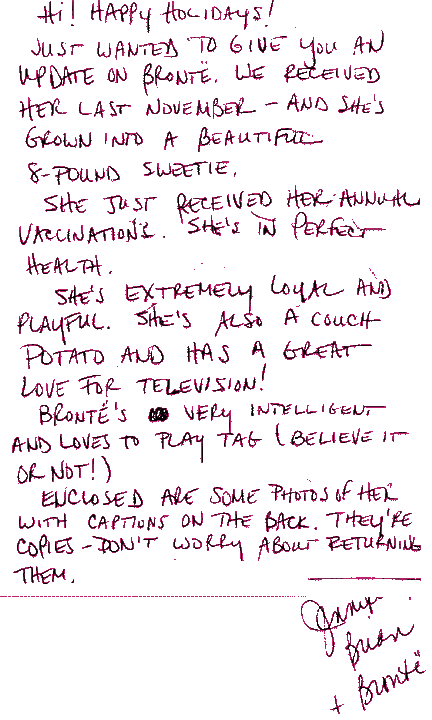 Hi! Happy Holidays! Just wanted to give you an update on Bronte. We received her last November- and she has grown into a beautiful 8-pound sweetie. She just received her annual vaccinations. She's in perfect health. She's extremely loyal and playful. She is also a couch potato and has a great love for television. Bronte is very intelligent and loves to play tag(believe it or not!) Enclosed are some photos of her with captions on the back, they are copies, so don't worry about returning them. Jenny, Brian, and Bronte.