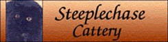 Steeplechase Cattery
