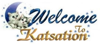 Welcome to Katsation